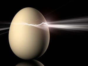 136484_eggcracked
