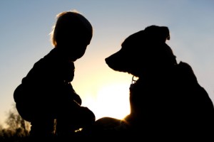 Silhouette of Child Playing with Dog
